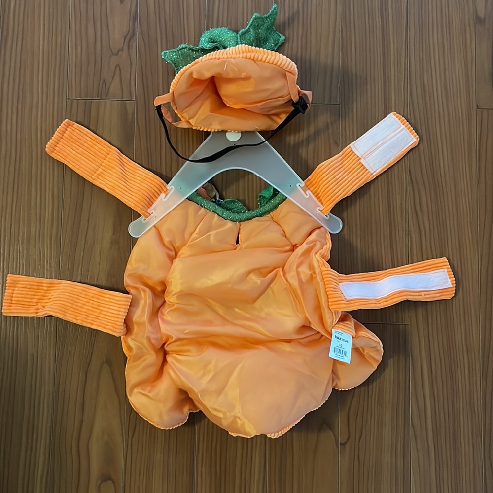 Pumpkin Patch Halloween Costume for dogs - Picture 6 of 9